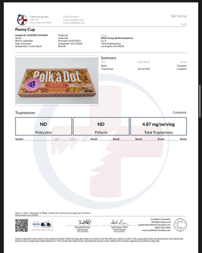 Polk A Dot x URB Mushroom Chocolate Bar | 10,000MG