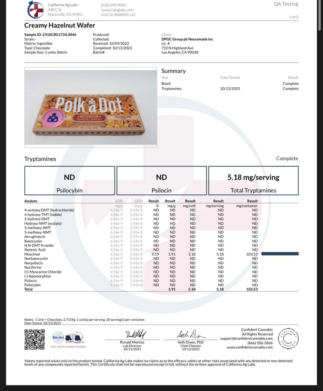 Polk A Dot x URB Mushroom Chocolate Bar | 10,000MG