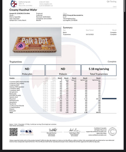 Polk A Dot x URB Mushroom Chocolate Bar | 10,000MG