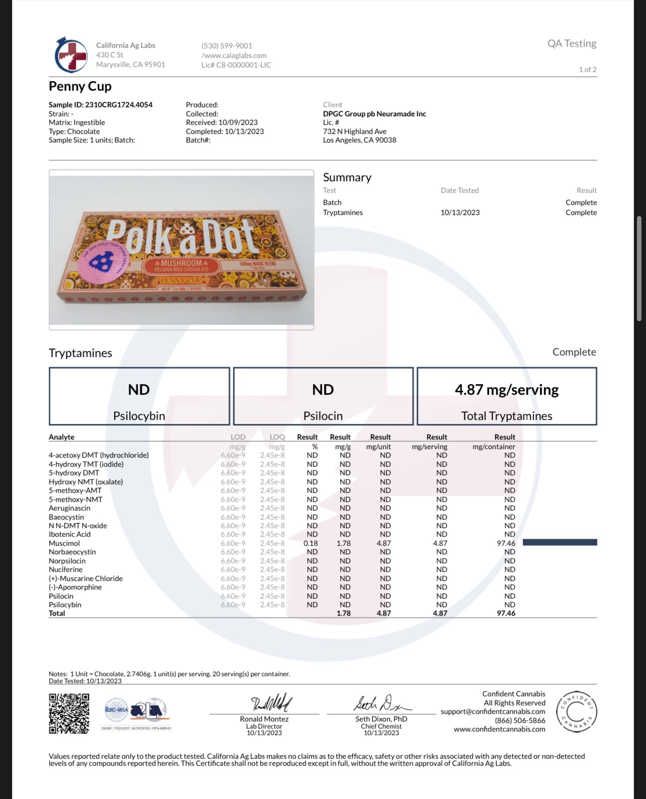 Polk A Dot x URB Mushroom Chocolate Bar | 10,000MG