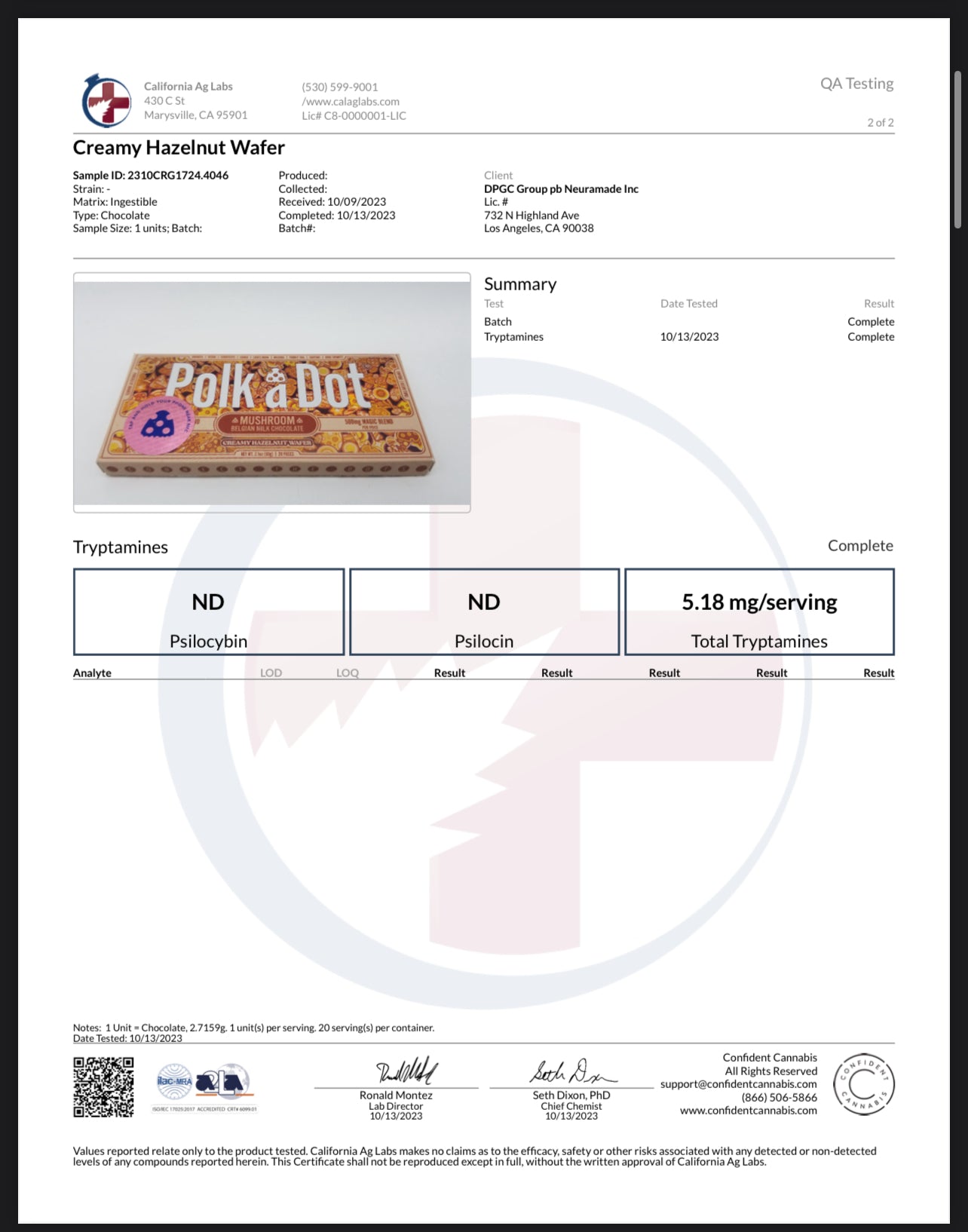 Polk A Dot x URB Mushroom Chocolate Bar | 10,000MG