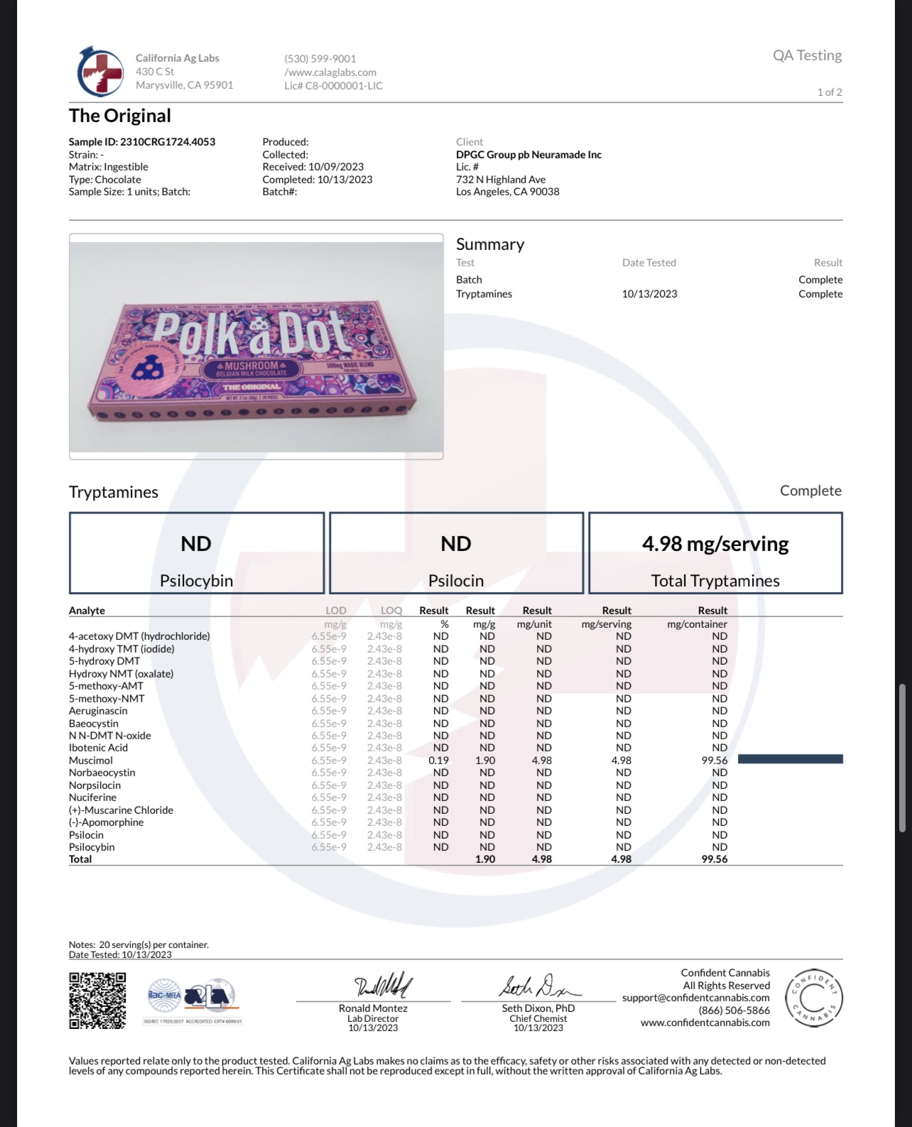 Copy of Polk A Dot x URB Mushroom Chocolate Bar | 10,000MG